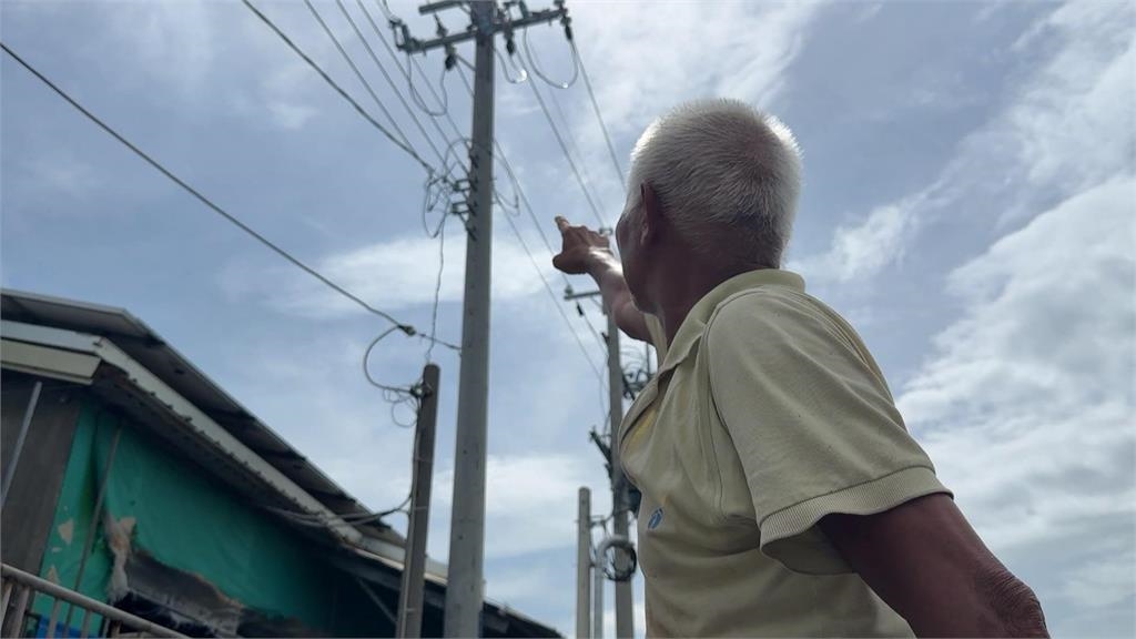嘉義豬舍疑漏電「上百隻豬遭電死」　　縣府會勘目睹「豬淒厲慘叫」