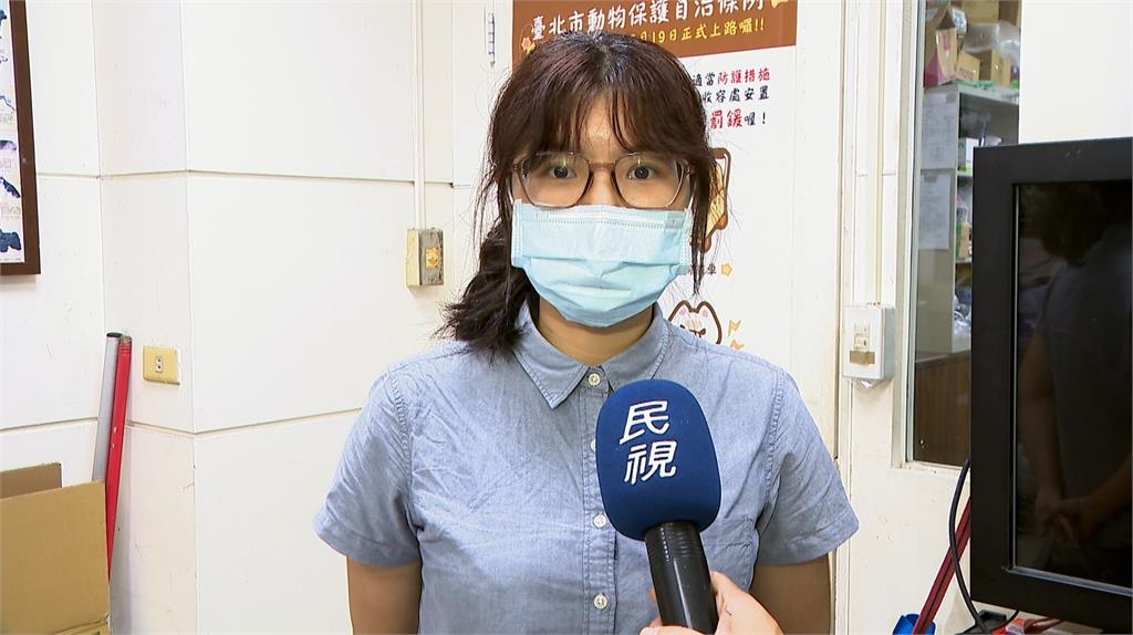 獨!當心違法寵物寄養 北市動保處點名「這2平台」未篩選合法經營