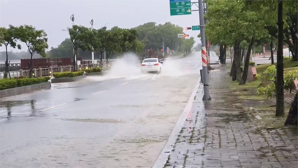金門豪大雨成水都! 近500公頃高粱田淹沒 契作全泡湯