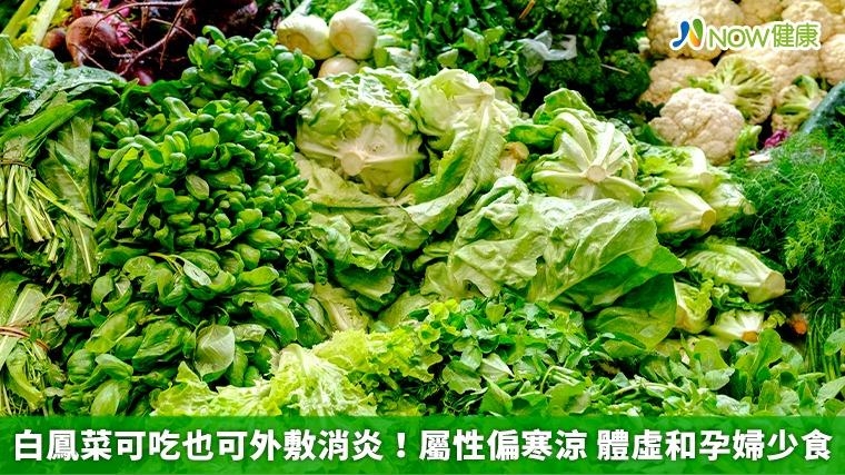 白鳳菜可吃也可外敷消炎！屬性偏寒涼 體虛和孕婦少食