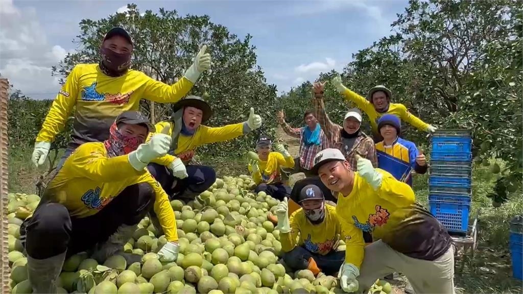 颱風重創麻豆毀文旦! 11位暖心泰籍移工挺進災區助清理