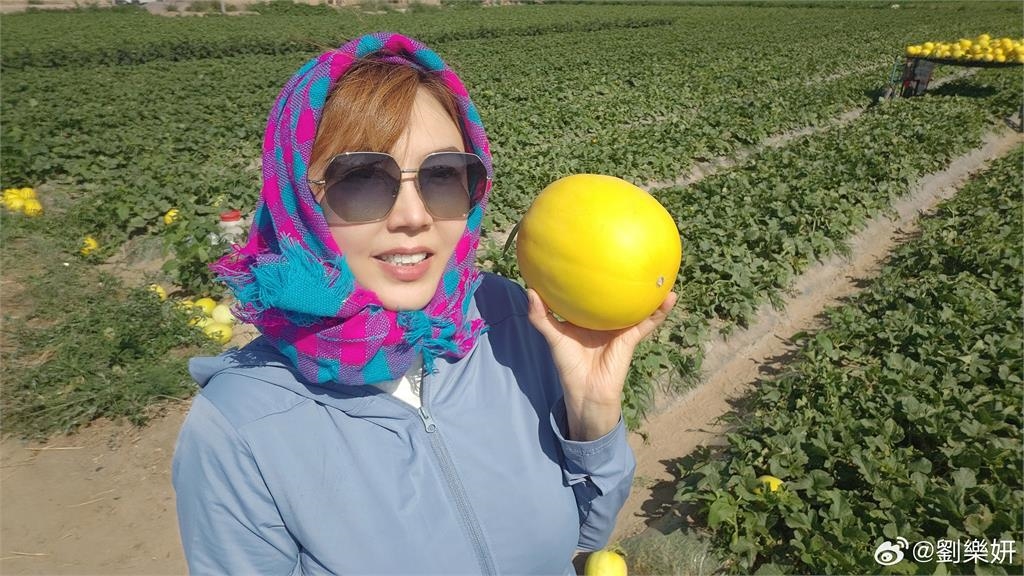 劉樂妍捧「圓狀蜜瓜直播」擦邊了!「抖音出手封號」她怨這事:只挑軟的捏