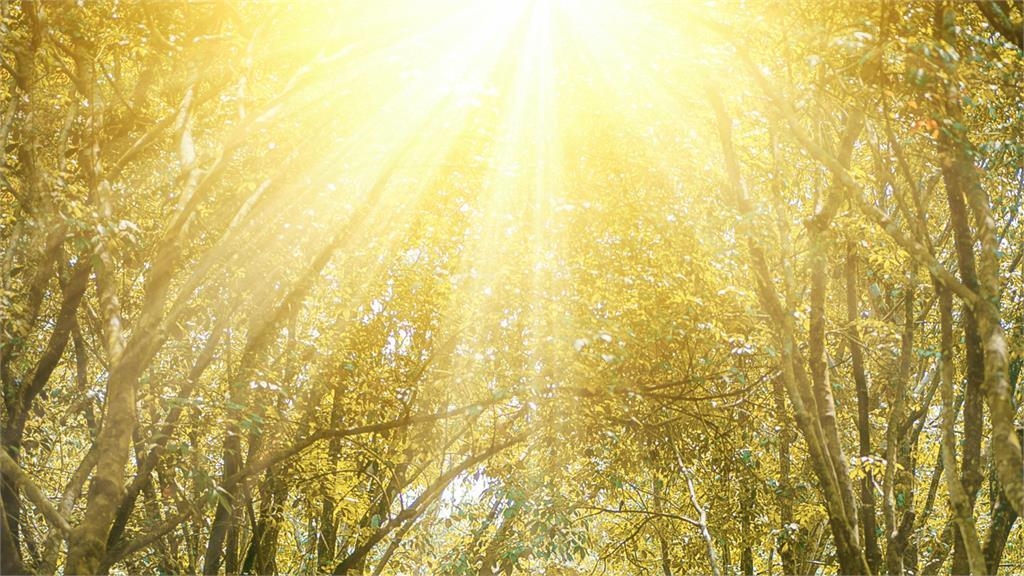 二十四節氣「大暑」越熱越旺？專家點「4生肖、7姓氏」好運樂翻天！