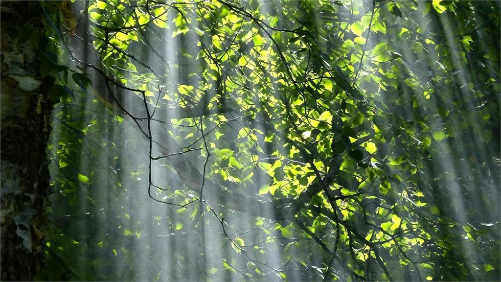 二十四節氣「大暑」越熱越旺?專家點「4生肖、7姓氏」好運樂翻天!