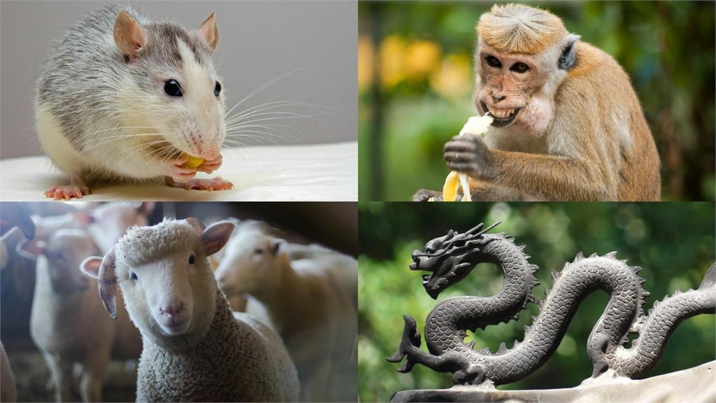 二十四節氣「大暑」越熱越旺?專家點「4生肖、7姓氏」好運樂翻天!