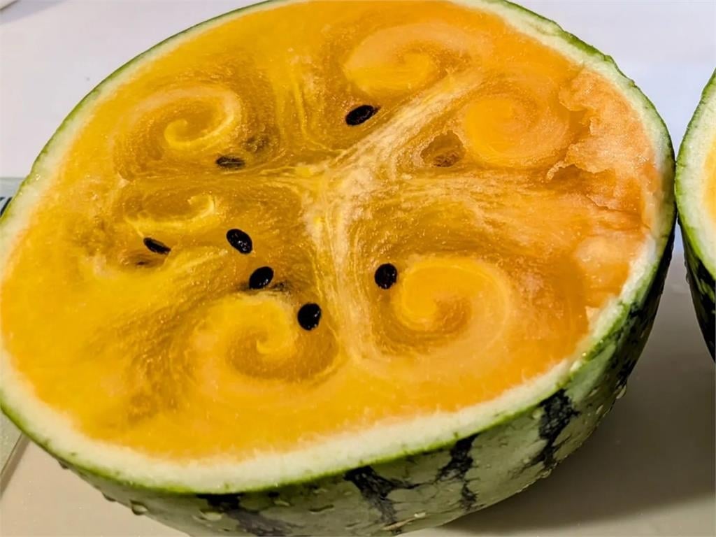 剖開「惡魔果實」驚見詭異「1怪狀」 專業網友急喊:這西瓜不能要了!