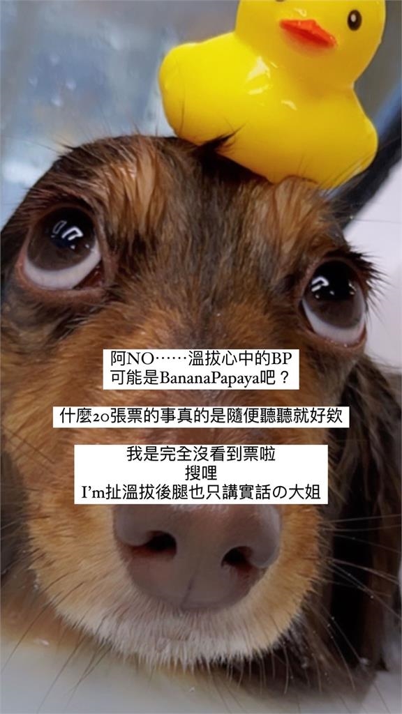 吳宗憲脫口「拿一堆GD票」遭炎上!他否認又自爆「BLACKPINK才是公關票」