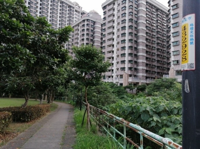 快新聞／蛇出沒注意！今年新北市捕蛇案大增　「這3種」蛇類通報案最多