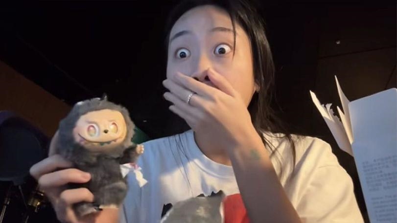 「以為抽中隱藏版」李泳知成Labubu盜版受害者