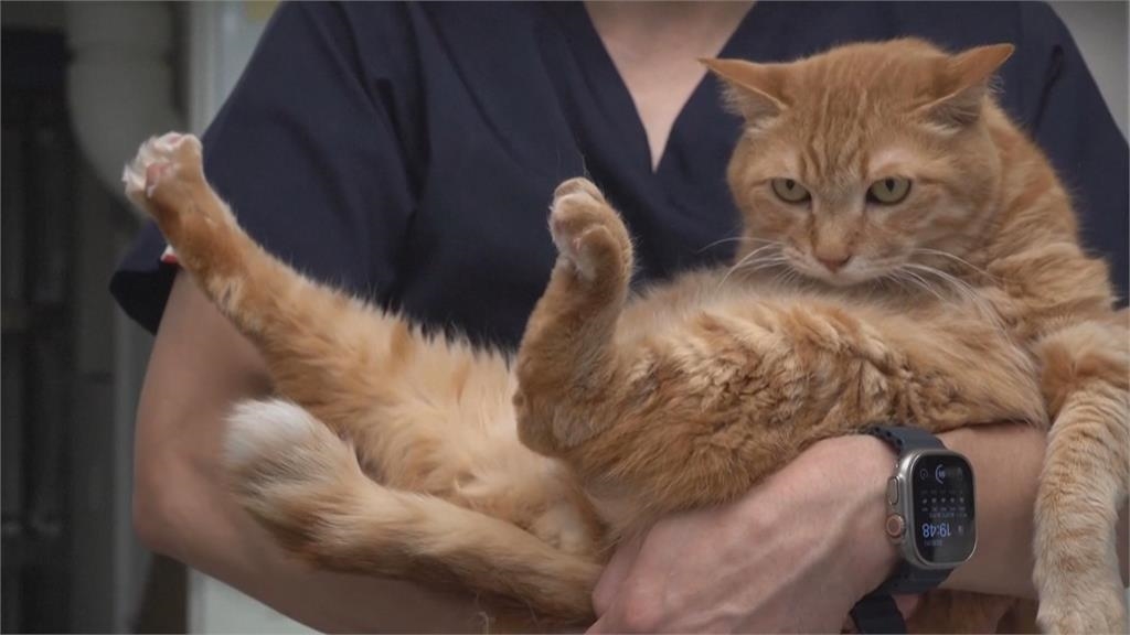 16歲喵星人神助攻 「1舉動」讓他改變人生:簡直是個奇蹟