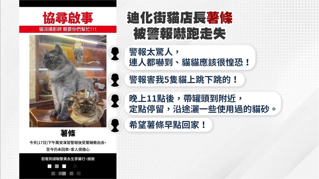 迪化街「貓店長薯條」被演習警報嚇跑走失　飼主找到半夜　粉絲貼尋貓啟示