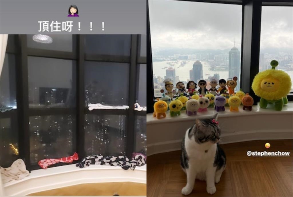 擁「至少5房產」月收租82萬!蔡卓妍PO防颱照「超奢豪宅」內部畫面曝