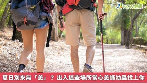 夏日別來無「恙」? 出入這些場所當心恙蟎幼蟲找上你