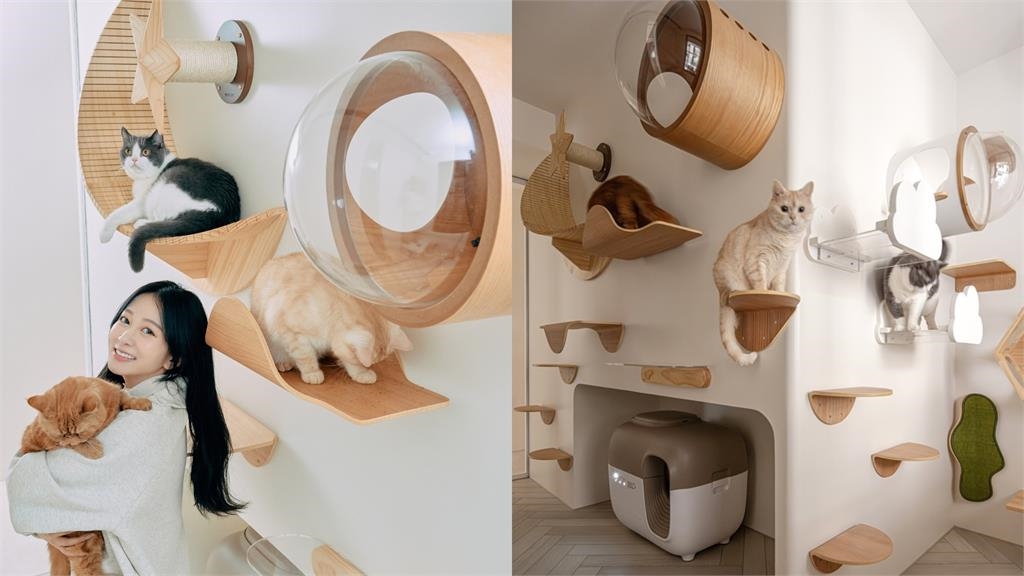 網紅Toyz入獄前擲千萬寵女友 篠崎泫拍片開箱「夢幻豪宅」親曝:跟談戀愛一樣