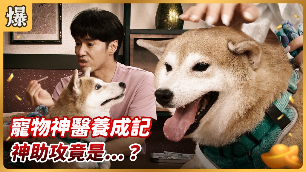 《好運來-EP151精彩片段》寵物神醫養成記 神助攻竟是…….？