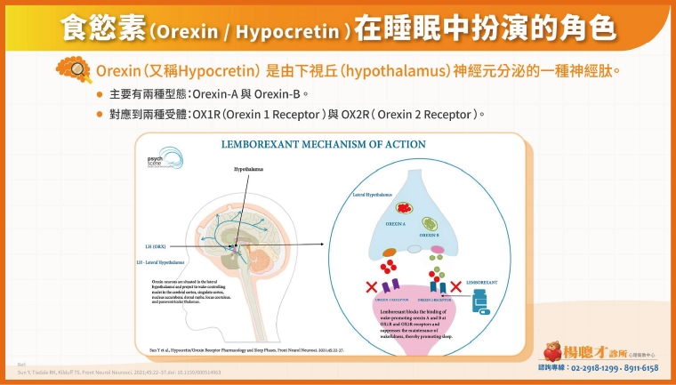 還在靠吞安眠藥對抗失眠? 食慾素新機轉提供不同選擇
