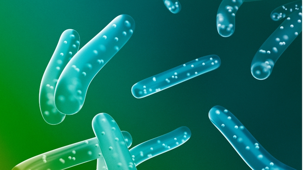 氣候變化、腸胃易亂？專家提醒：益生菌三大功效不可忽視，這些族群應特別補充!