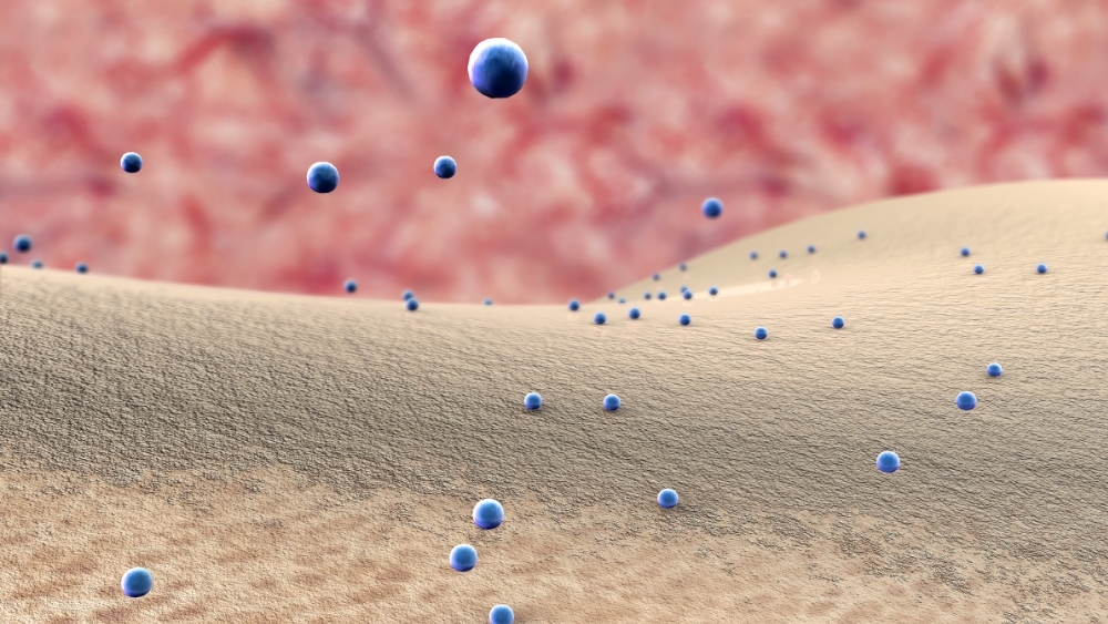 空污紅燈成常態-專家揭三大關鍵守則強化身體自我防禦力應對環境挑戰