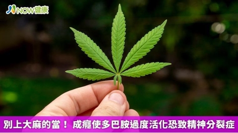 別上大麻的當! 成癮使多巴胺過度活化恐致精神分裂症