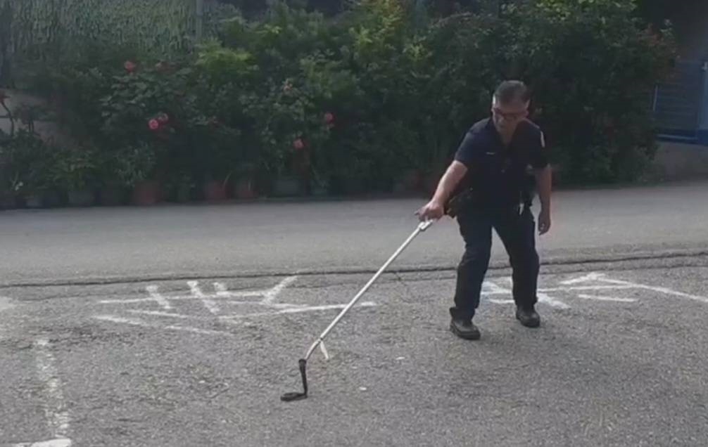 快新聞/天氣太熱?眼鏡蛇「擅闖民宅」納涼婦嚇壞 警方出手捕獲野放