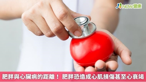 肥胖與心臟病的距離！ 肥胖恐造成心肌損傷甚至心衰竭