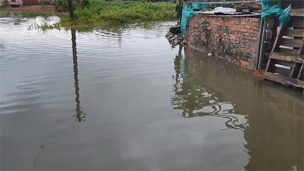 快新聞/雲嘉南淹水!蕃薯村鴨子幾乎「食嘸飼料」 無奈漫步畫面曝