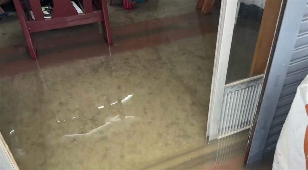 快新聞/雲嘉南淹水!蕃薯村鴨子幾乎「食嘸飼料」 無奈漫步畫面曝