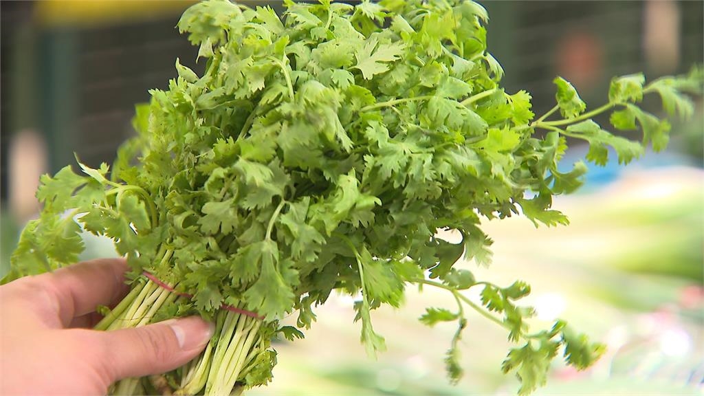 豪雨炸產地！青菜暗藏水傷　菜市場買氣降一成、菜價仍偏高