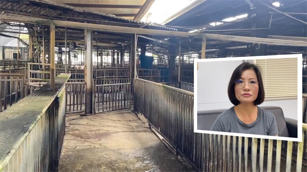 全台豬隻供應吃緊! 肉品拍賣市場30日增休