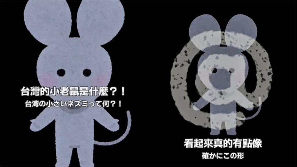 大阪妹被「台式用語」搞懵　網友笑翻：這只有台灣人懂！