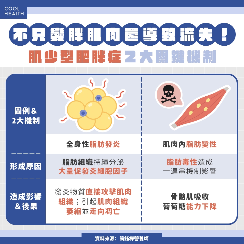 不只變胖肌肉還流失! 營養師揭「肌少型肥胖症」發生原因