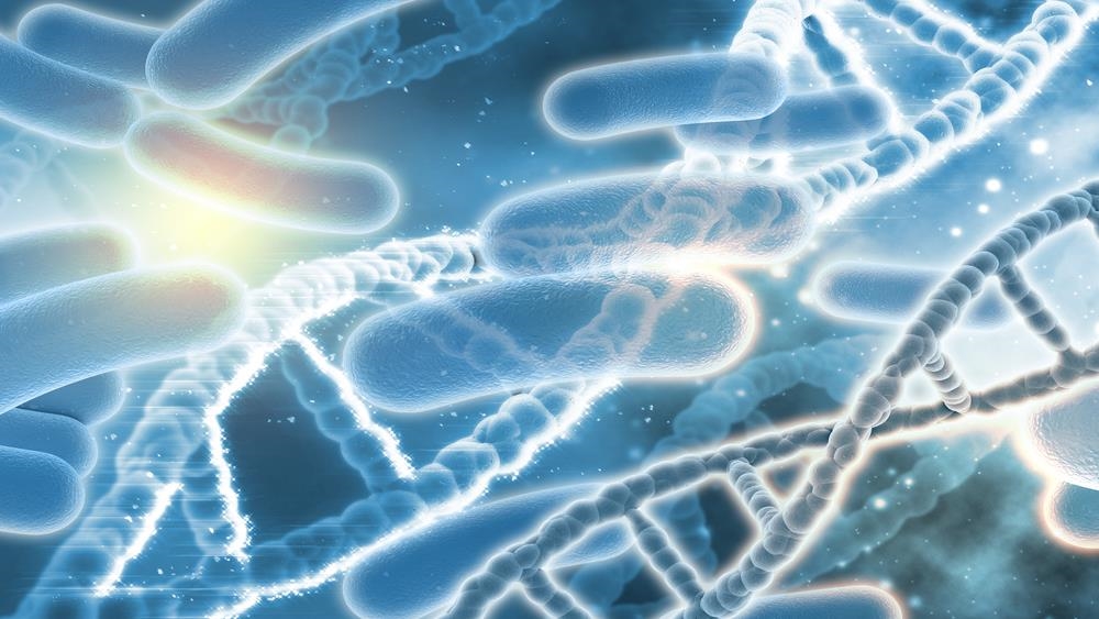 腸道營養補充怎麼選？一次搞懂益生菌、益生元、後生元的科學關係