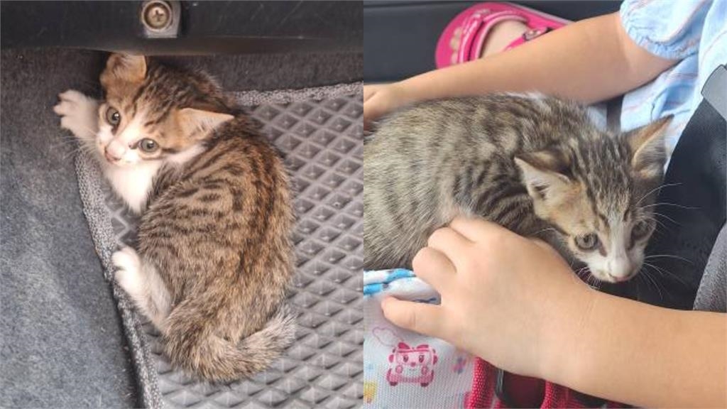 男子突對前車「下跪磕頭、猛鑽車底」!駕駛嚇傻結局曝光暖哭全網