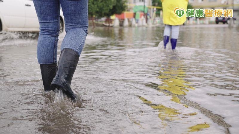 大雨積水恐釀疫情！　「這樣做」防鉤端螺旋體、類鼻疽與登革熱