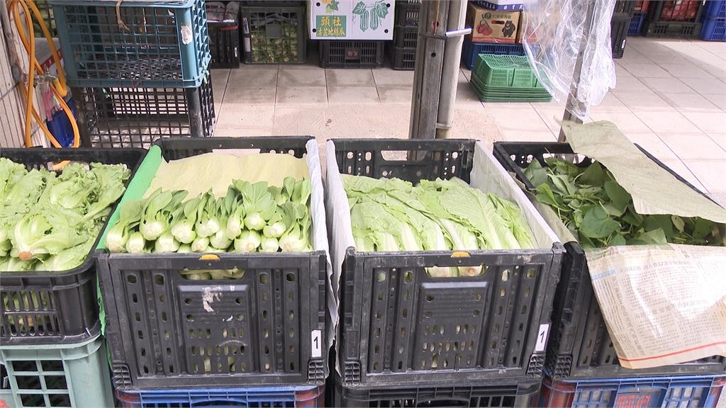 豪雨狂炸菜價瘋漲! 北農平均批發價漲逾7成