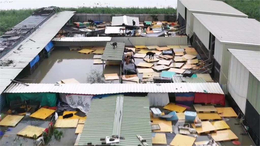 飼料、用品泡水報廢　台南黃媽媽狗園募資整理