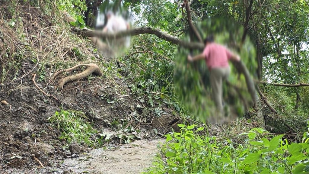 豪雨毀台中步道！　大坑14條登山步道「全線封閉」