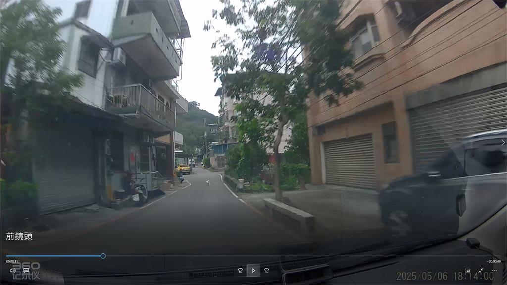 快新聞/遛狗不牽繩出事了!跑到馬路上遭輾斃 飼主、駕駛都得挨罰