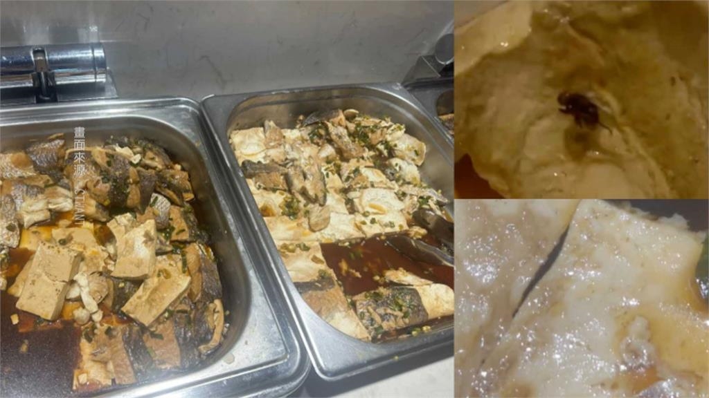 誇張!樂天伙食有「死蒼蠅.活蛆」 球團回應了