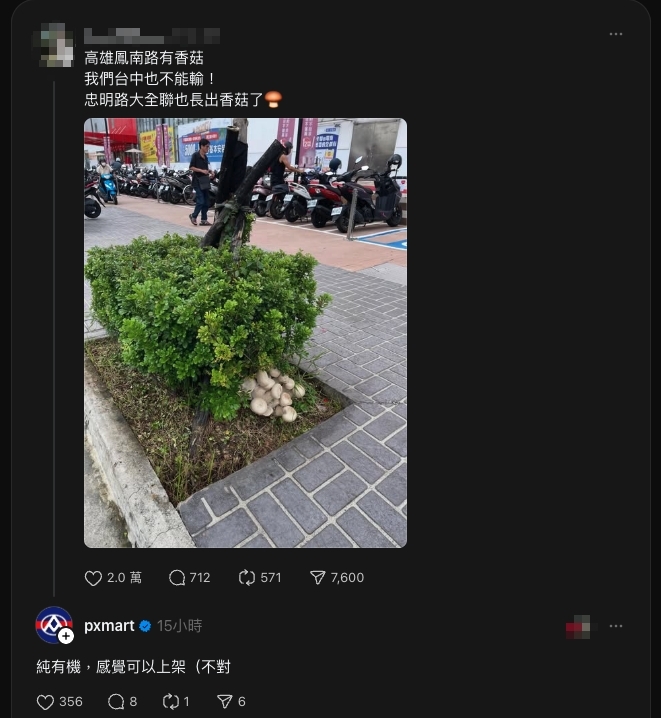 灌木叢藏「粗勇巨菇」特寫照曝光！台中人急朝聖「不到5小時」整顆全挖走