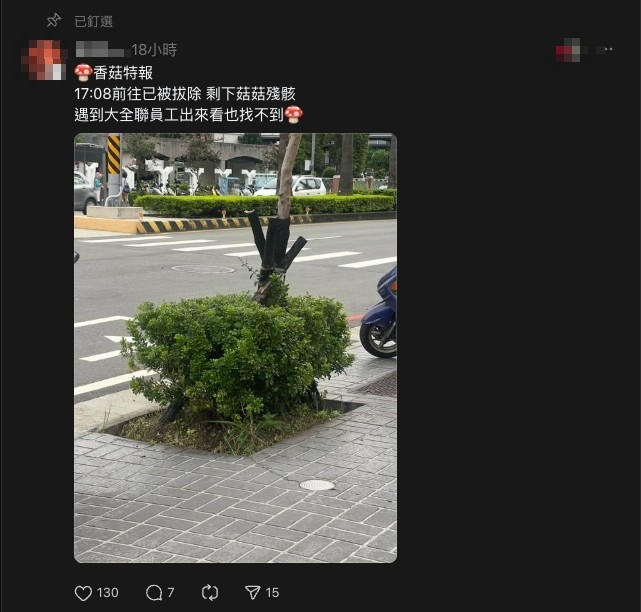 灌木叢藏「粗勇巨菇」特寫照曝光！台中人急朝聖「不到5小時」整顆全挖走