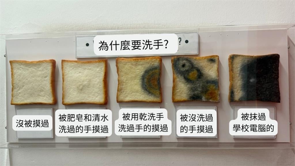 碰完鍵盤細菌超危險！醫師曝驚人實驗「吐司黑化」：黴菌全吃下肚