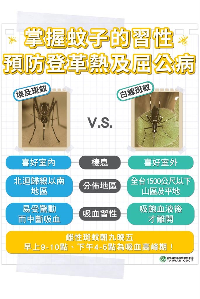都是由病媒蚊散布⋯屈公病≠登革熱！「這症狀」恐讓你痛到無法行動