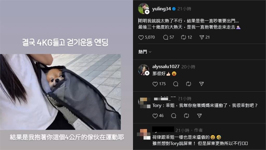 邊荷律曬遛狗日常愛犬大熱天「罷工躺平」 她無奈:我抱著4公斤傢伙在運動