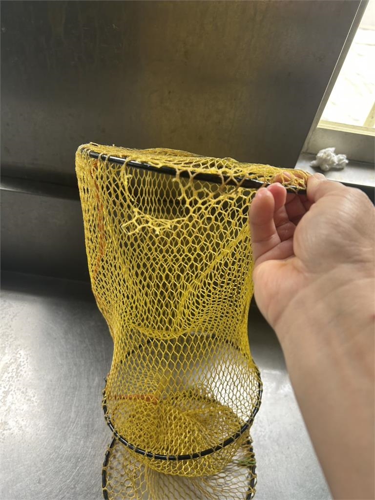老闆沒蝦啊！「蝦網破洞」15隻蝦逃亡　一小時心血落空民眾氣炸　業者：難賠