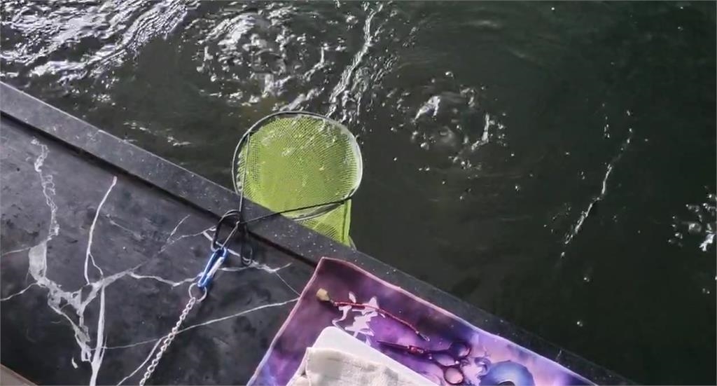 老闆沒蝦啊！「蝦網破洞」15隻蝦逃亡　一小時心血落空民眾氣炸　業者：難賠