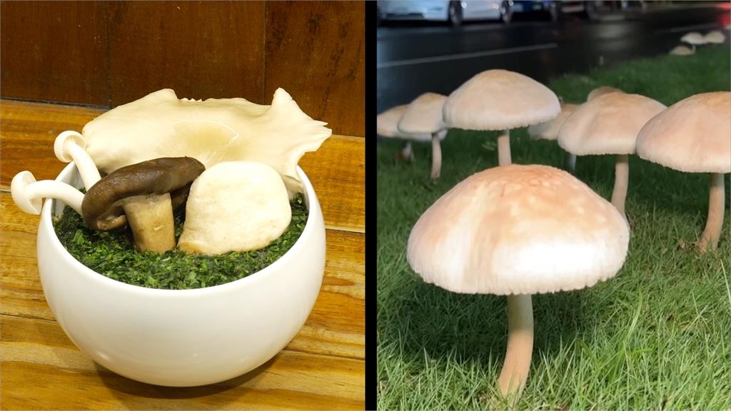 拉麵店限時兩天推「安全島拉麵」　經典復刻豪雨生菇場景