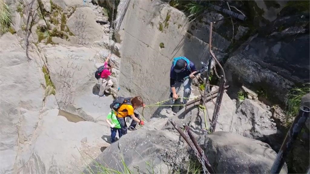 阿里山「眠月線2號隧道」坍塌　台灣一葉蘭自然保留區暫停開放