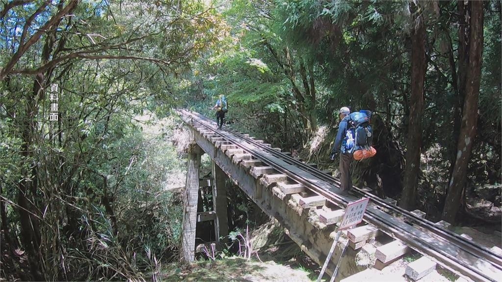 阿里山「眠月線2號隧道」坍塌　台灣一葉蘭自然保留區暫停開放