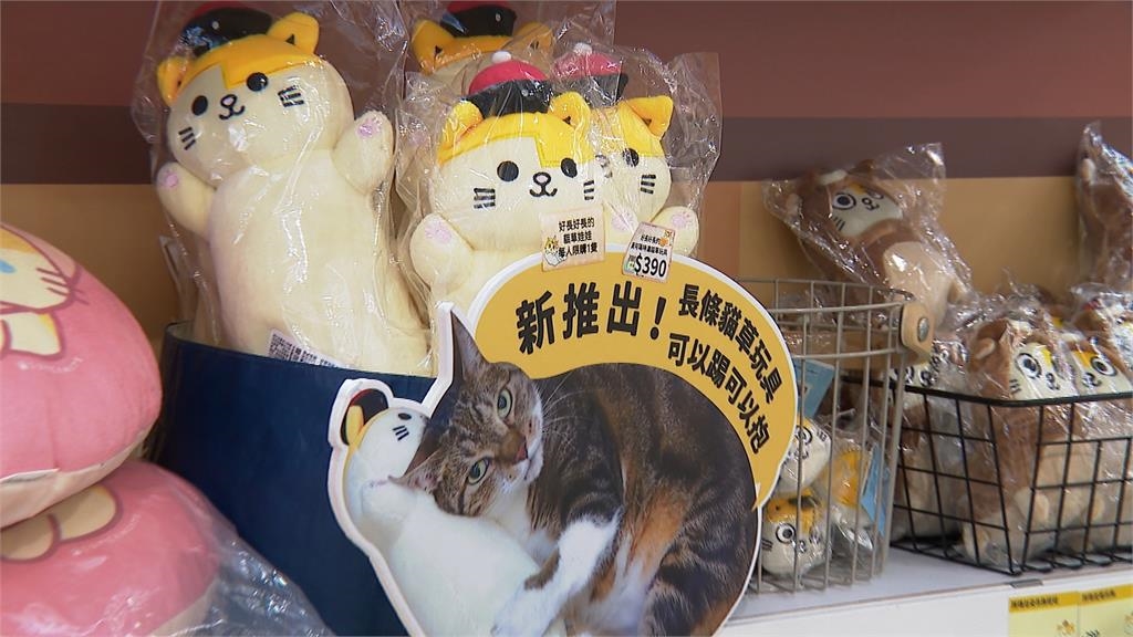 文博會創意無極限文創品賣翻天！　人氣創作者拚維持熱度、新人搶曝光